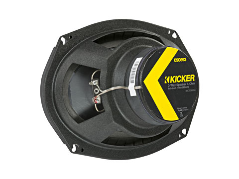 CSC693 speaker back.