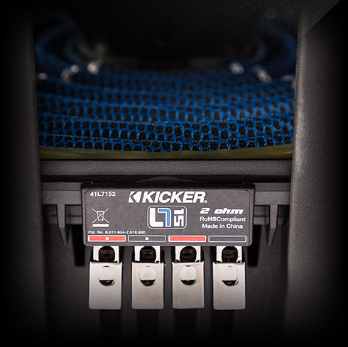 Close-up of the Blue Lace spider.