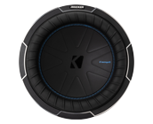 Learn more about the 10 inch 2 ohm dual voice coil.