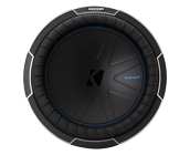 Learn more about the 12 inch 2 ohm dual voice coil.