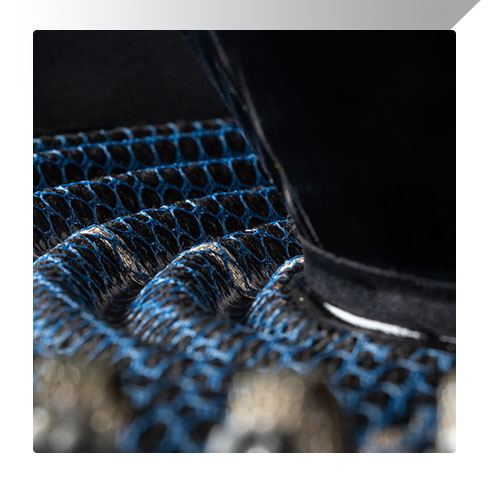 Close-up of the Blue Lace spider.